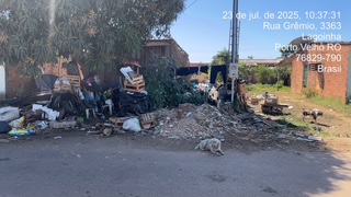 Notícia Animais que sofriam maus tratos são resgatados